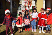 Maple Tree School-Christmas Celebrations